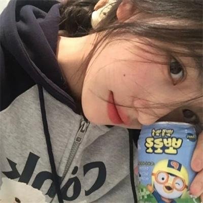 马达加斯加的企鹅